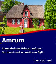 Reiseziel Amrum